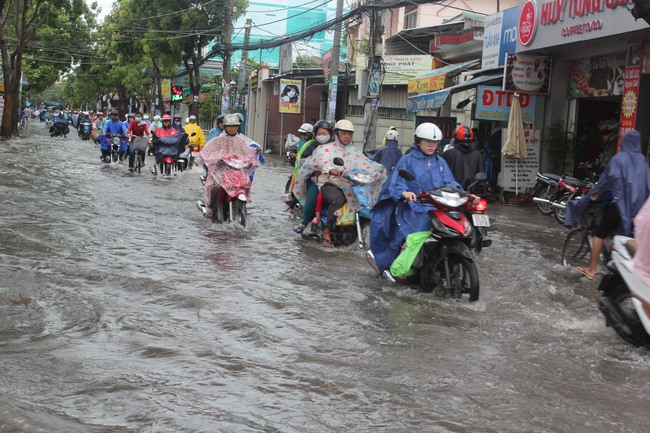 TP.HCM công bố dịch Zika: Chúng ta cần chú ý những gì để phòng tránh? - Ảnh 3.