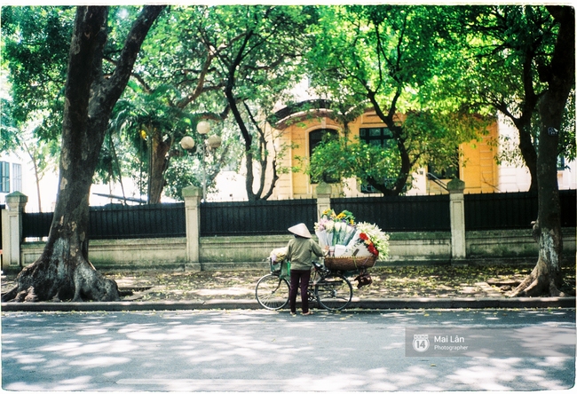 Những ng&agrave;y H&agrave; Nội rất n&oacute;ng, nhưng l&ograve;ng dịu lại v&igrave; cảnh l&aacute; rụng đẹp như m&ugrave;a thu thứ 2 - Ảnh 3.