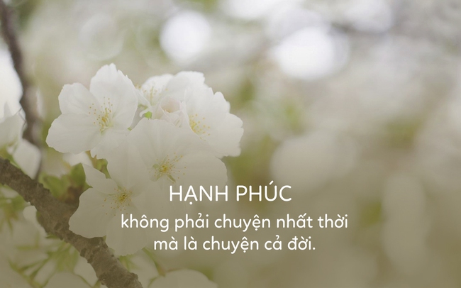 Hạnh phúc là cảm giác đến từ trái tim, chứ không phải nhận định của người khác - Ảnh 2.