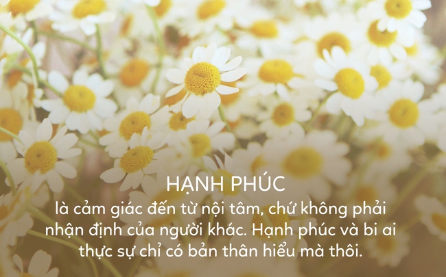 Hạnh phúc là cảm giác đến từ trái tim, chứ không phải nhận định của người khác - Ảnh 3.