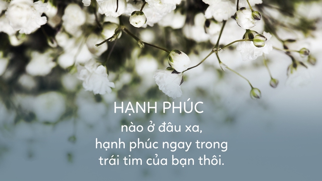 Hạnh phúc là cảm giác đến từ trái tim, chứ không phải nhận định của người khác - Ảnh 6.