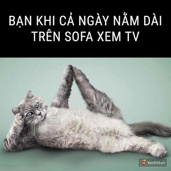 Nhật k&iacute;: Tết kh&ocirc;ng ăn, ngủ th&igrave; l&agrave;m g&igrave;? - Ảnh 1.
