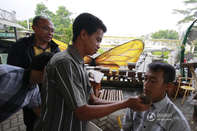 Thất kinh trước phương ph&aacute;p tẩy da chết bằng c&aacute;ch cho ong bu đầy mặt - Ảnh 1.