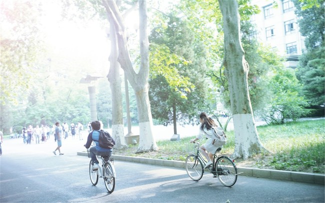 Ng&agrave;y xưa hồi đi học bạn đ&atilde; từng y&ecirc;u chưa? - Ảnh 2.
