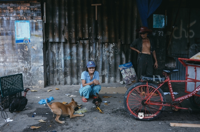 Hai ông bà ve chai gặp nhau giữa Sài Gòn, cùng về chung một nhà và nuôi lũ con toàn gà, chó, thỏ - Ảnh 1.