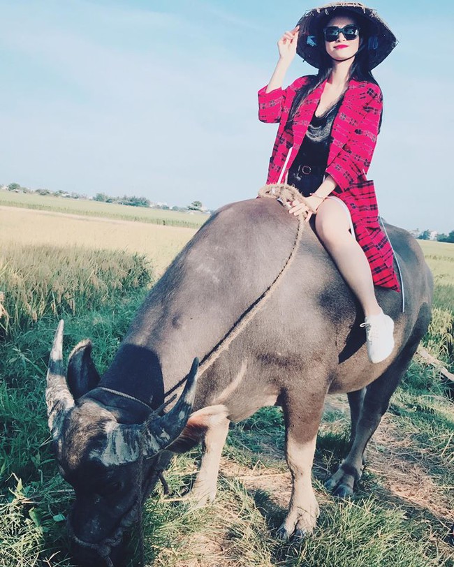 Đ&ocirc;ng Nhi đội n&oacute;n l&aacute;, th&iacute;ch th&uacute; cưỡi tr&acirc;u cực chuy&ecirc;n nghiệp - Ảnh 3.