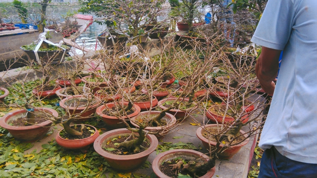 Bộ ảnh S&agrave;i G&ograve;n gi&aacute;p Tết n&agrave;y sẽ khiến bạn th&ecirc;m y&ecirc;u c&aacute;i Tết truyền thống - Ảnh 7.