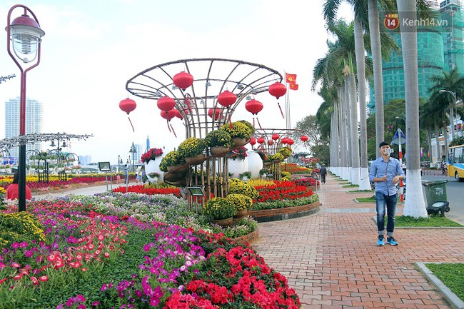 Cận cảnh đường hoa xu&acirc;n rực rỡ b&ecirc;n bờ s&ocirc;ng H&agrave;n Đ&agrave; Nẵng - Ảnh 2.