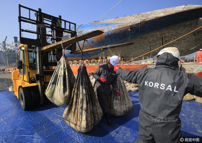 Những di vật được tìm thấy trong xác phà Sewol sau 3 năm chìm dưới đáy đại dương - Ảnh 4.