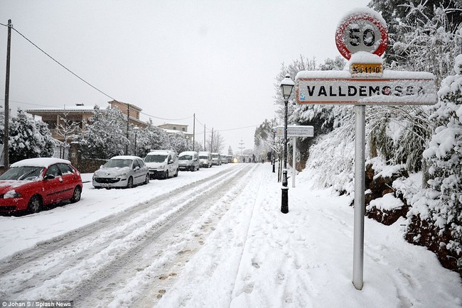 Chùm ảnh: Tuyết rơi dày nhất trong 35 năm tại Tây Ban Nha, nhiệt độ xuống còn -10 độ C - Ảnh 17.