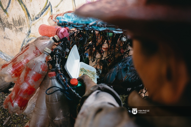 Hai ông bà ve chai gặp nhau giữa Sài Gòn, cùng về chung một nhà và nuôi lũ con toàn gà, chó, thỏ - Ảnh 11.