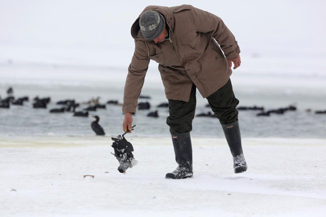 Người d&acirc;n ch&acirc;u &Acirc;u chật vật đối ph&oacute; với m&ugrave;a đ&ocirc;ng gi&aacute; r&eacute;t bất thường - Ảnh 12.