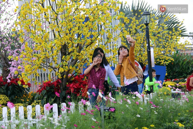 Cận cảnh đường hoa xu&acirc;n rực rỡ b&ecirc;n bờ s&ocirc;ng H&agrave;n Đ&agrave; Nẵng - Ảnh 11.