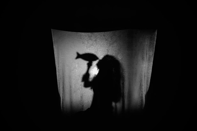 C&acirc;u chuyện thống trị bầu trời của lo&agrave;i m&egrave;o dưới g&oacute;c nh&igrave;n si&ecirc;u thực của ch&agrave;ng nhiếp ảnh gia Đ&agrave; Lạt - Ảnh 19.