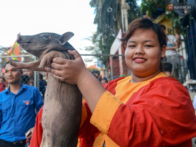 Ngụy trang bắt vịt, bịt mắt bắt lợn tại lễ hội xuân làng lụa Vạn Phúc - Ảnh 15.