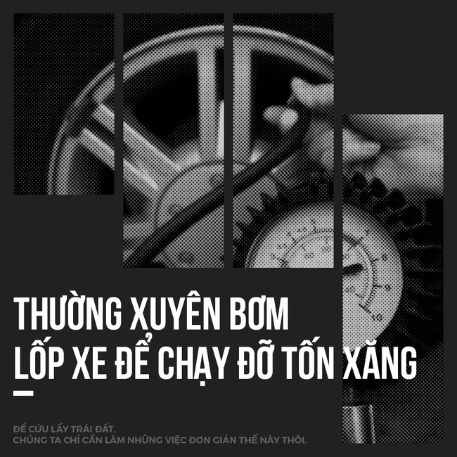 Để cứu lấy Tr&aacute;i đất, ch&uacute;ng ta chỉ cần l&agrave;m những việc đơn giản thế n&agrave;y th&ocirc;i - Ảnh 8.