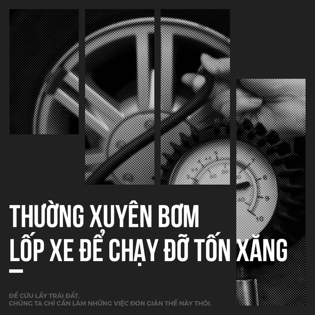 Để cứu lấy Trái đất, chúng ta chỉ cần làm những việc đơn giản thế này thôi - Ảnh 8.