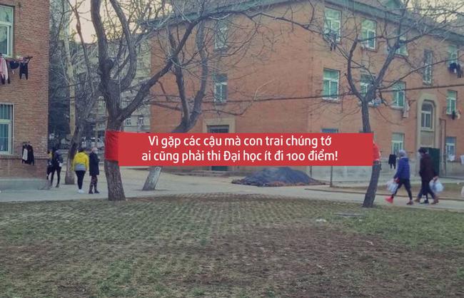 Nam sinh trường người ta: Ng&agrave;y 8/3 ch&uacute;c con g&aacute;i l&agrave; phải giăng biểu ngữ cực chất - Ảnh 13.