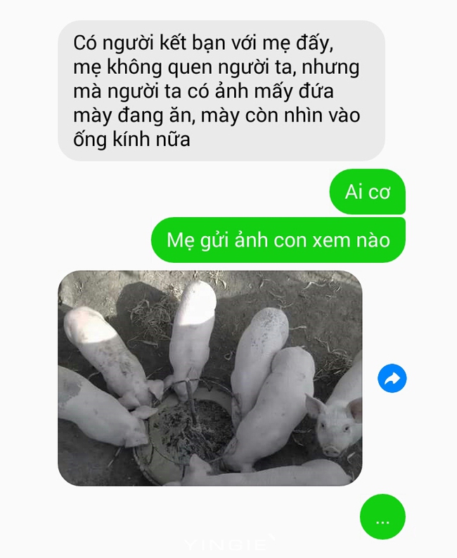 C&oacute; bố mẹ th&iacute;ch troll con vui lắm nhưng nhiều l&uacute;c cũng... đắng l&ograve;ng lắm! - Ảnh 29.