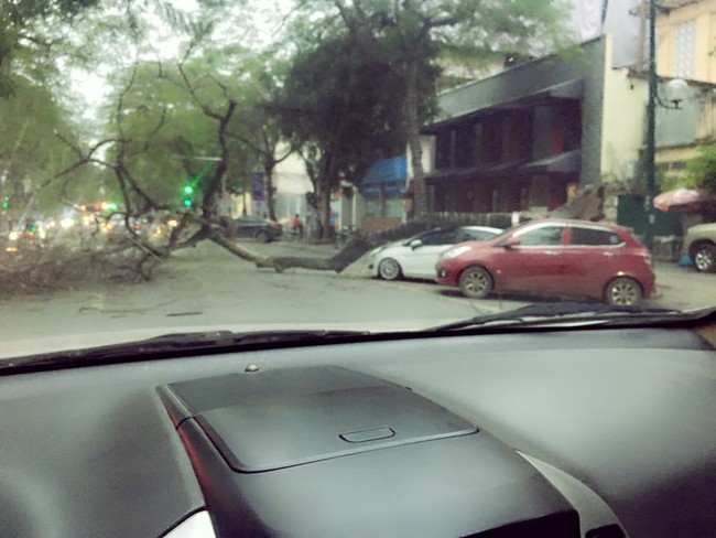 Hà Nội: Cây cổ thụ đổ đè bẹp ô tô trên phố Lý Thường Kiệt - Ảnh 2.