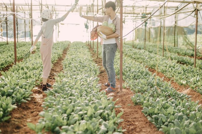 Chỉ cần yêu nhau thật nhiều thì ảnh cưới chụp ở... vườn rau cũng khiến người ta xuýt xoa - Ảnh 19.