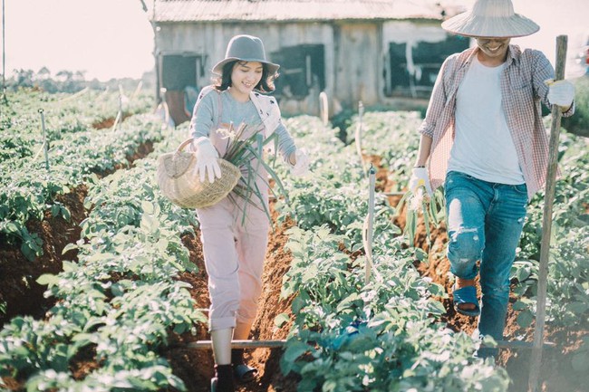 Chỉ cần yêu nhau thật nhiều thì ảnh cưới chụp ở... vườn rau cũng khiến người ta xuýt xoa - Ảnh 28.