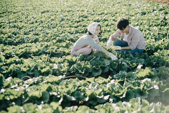 Chỉ cần yêu nhau thật nhiều thì ảnh cưới chụp ở... vườn rau cũng khiến người ta xuýt xoa - Ảnh 12.