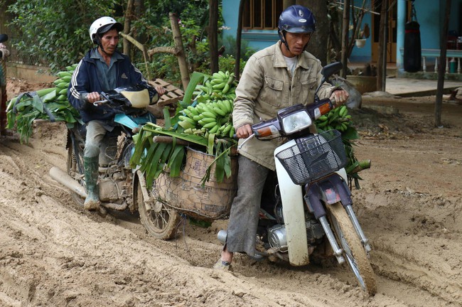 Chuối của n&ocirc;ng d&acirc;n Đồng Nai bị &eacute;p gi&aacute;, người S&agrave;i G&ograve;n ra tay giải cứu - Ảnh 1.