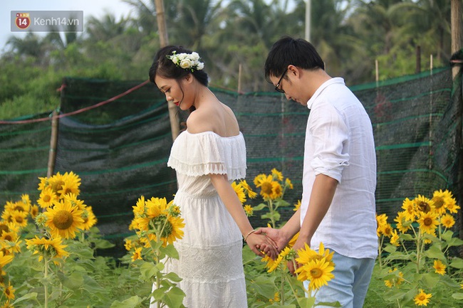 Vườn hoa hướng dương bị mất mùa, bạn trẻ Đà Nẵng kéo đến chụp ảnh và quyên góp cho chủ vườn - Ảnh 19.