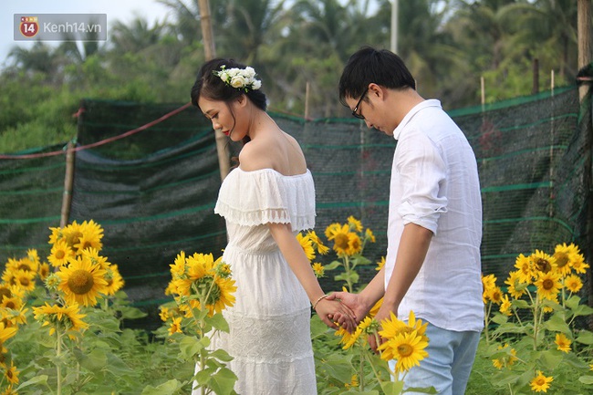 Vườn hoa hướng dương bị mất m&ugrave;a, bạn trẻ Đ&agrave; Nẵng k&eacute;o đến chụp ảnh v&agrave; quy&ecirc;n g&oacute;p cho chủ vườn - Ảnh 19.