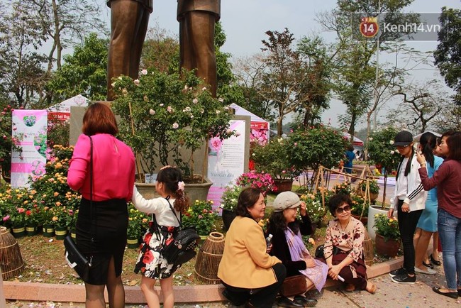 Thất vọng khi lễ hội hoa hồng Bulgaria ở Hà Nội khác xa quảng cáo, nhiều hoa giả và héo - Ảnh 10.