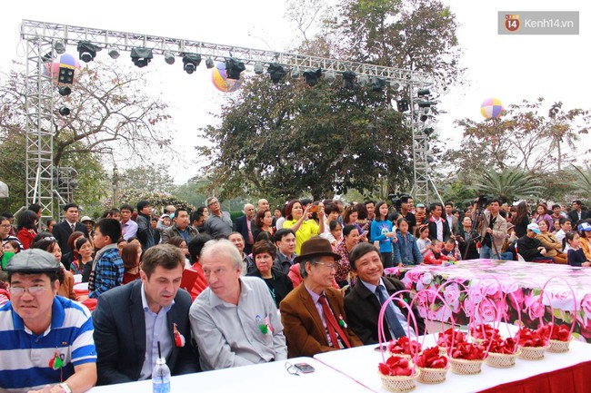 Bất chấp mưa phùn, ngày thứ 3 lễ hội hoa hồng Bulgaria ở Hà Nội vẫn đông nghịt người - Ảnh 8.