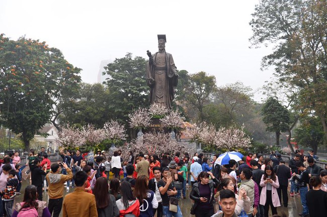 Người dân đội mưa, đổ xô đi chụp ảnh với hoa anh đào xịn 100% ở Hà Nội - Ảnh 8.