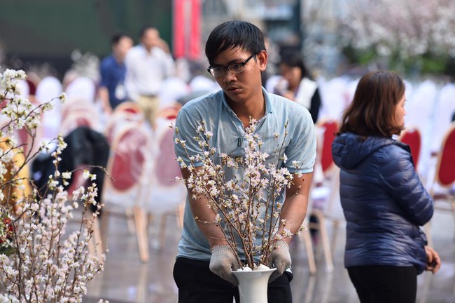 Người dân Hà Nội háo hức chụp ảnh với hoa anh đào từ ngoài hàng rào - Ảnh 6.