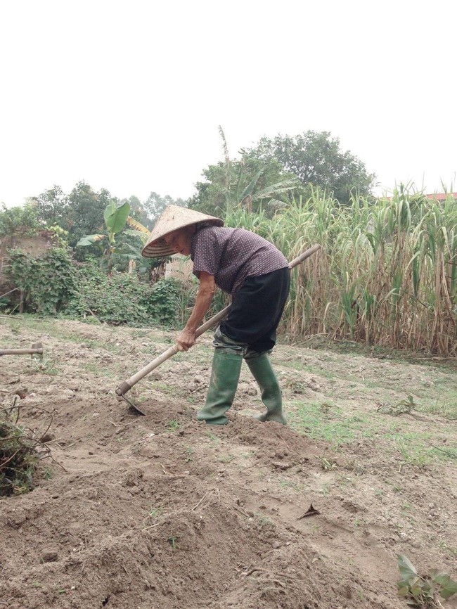 Người bà tuyệt nhất thế gian: 75 tuổi vẫn chắt chiu từng đồng bạc lẻ nuôi cháu vào Đại học Hà Nội - Ảnh 2.