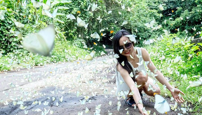 Cư d&acirc;n mạng đua nhau khoe ảnh m&ugrave;a bướm bay rợp trời tại rừng C&uacute;c Phương - Ảnh 8.