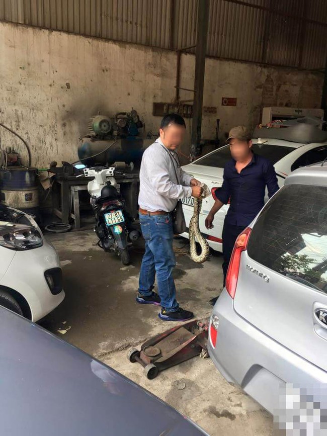 Mang xe &ocirc;t&ocirc; đi bảo dưỡng ph&aacute;t hiện cả con trăn nằm b&ecirc;n trong - Ảnh 1.
