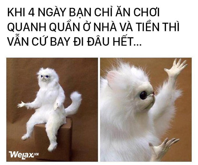 Hôm nay mới mùng 3 nhưng bạn có thấy lương đã bay sạch... - Ảnh 13.