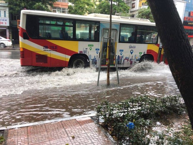 Hà Nội: Mưa lớn kèm gió to, cây đổ đè lên nhiều ô tô và xe máy - Ảnh 6.