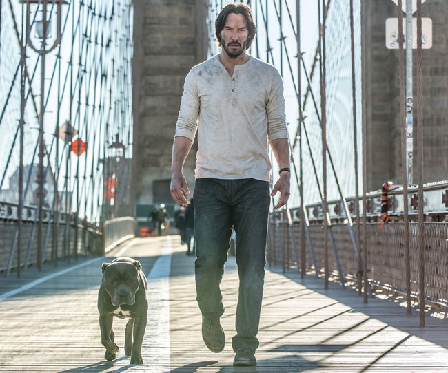 John Wick: Chapter 2 - Cứ bắn thôi, không nói nhiều - Ảnh 3.