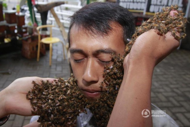 Thất kinh trước phương ph&aacute;p tẩy da chết bằng c&aacute;ch cho ong bu đầy mặt - Ảnh 2.