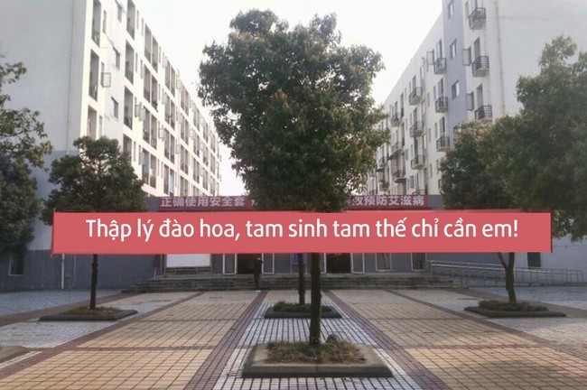 Nam sinh trường người ta: Ng&agrave;y 8/3 ch&uacute;c con g&aacute;i l&agrave; phải giăng biểu ngữ cực chất - Ảnh 19.
