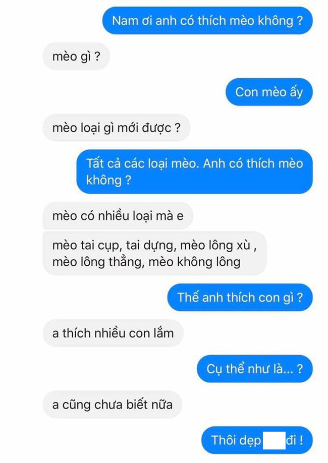 Xu hướng thả th&iacute;nh mới của giới trẻ: Bạn c&oacute; th&iacute;ch m&egrave;o kh&ocirc;ng? - Ảnh 2.