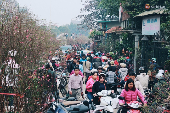 Khổ như người Hà Nội hành xác ở chợ hoa vừa đông, vừa tắc cả tiếng đồng hồ - Ảnh 5.