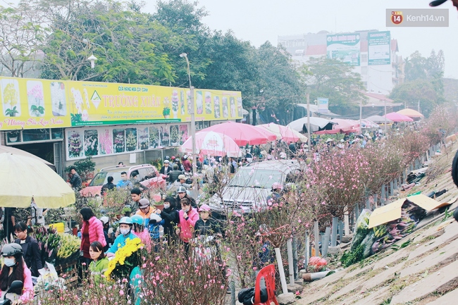 Khổ như người Hà Nội hành xác ở chợ hoa vừa đông, vừa tắc cả tiếng đồng hồ - Ảnh 6.