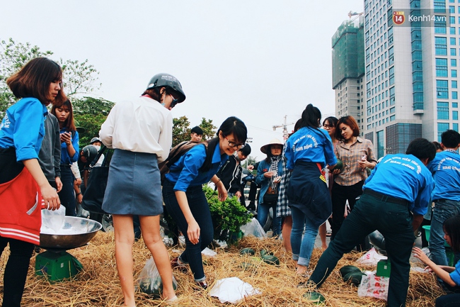Thương người d&acirc;n Quảng Ng&atilde;i đổ dưa hấu cho b&ograve; ăn, người H&agrave; Nội ra tay giải cứu - Ảnh 3.