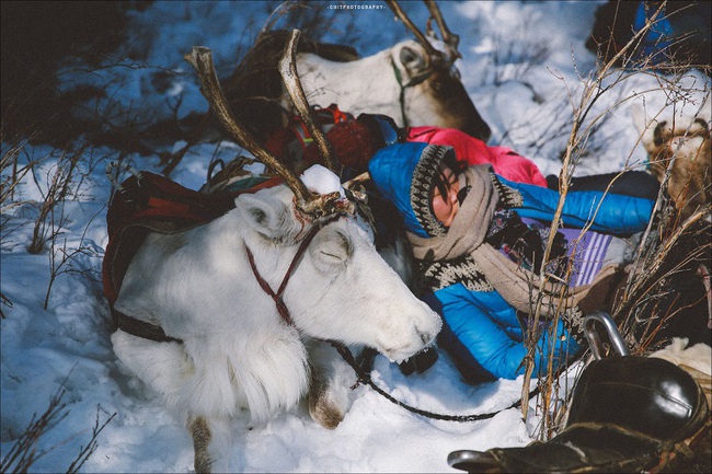 Vượt qua cái lạnh -35 độ, chàng trai người Việt tìm đến bộ lạc tuần lộc cuối cùng ở Mông Cổ! - Ảnh 5.