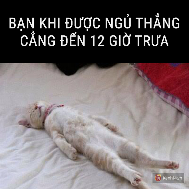 Nhật k&iacute;: Tết kh&ocirc;ng ăn, ngủ th&igrave; l&agrave;m g&igrave;? - Ảnh 5.