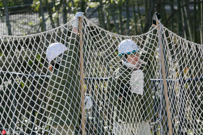 Nhật Bản: Quản lý đội lốt thú dữ để nhân viên diễn tập Tinh tinh sổng chuồng trong sở thú - Ảnh 4.