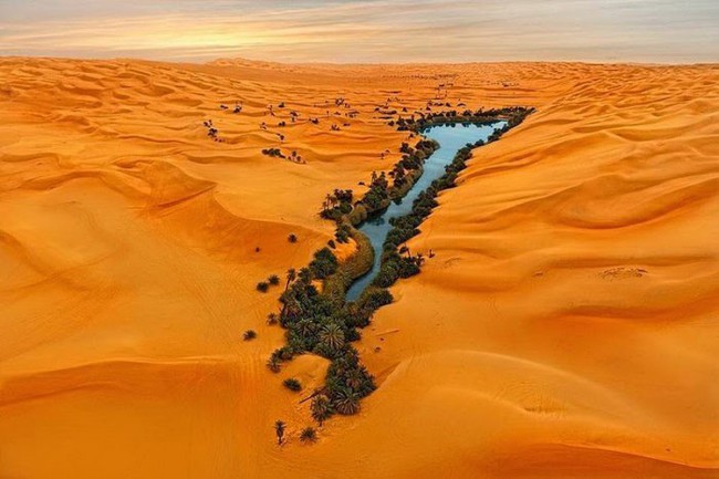 Ai mà ngờ được giữa sa mạc Sahara khô cằn lại có một nơi tràn ngập cây xanh bóng mát như thế này - Ảnh 3.